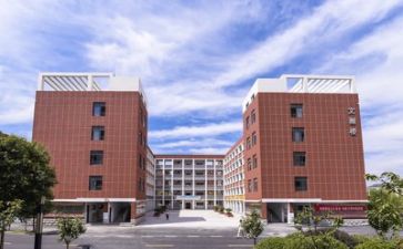 学校财务个人年终总结报告5篇