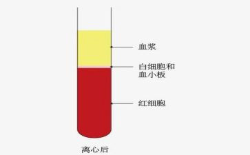 血液科医生工作总结5篇