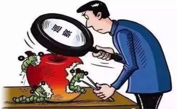 2024巡察组巡察工作总结精选8篇