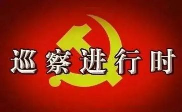 巡察干部工作总结6篇