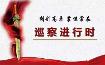 2024巡察组巡察工作总结通用7篇