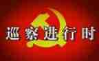 巡察干部工作总结6篇