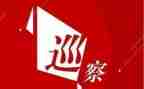镇巡查工作报告7篇