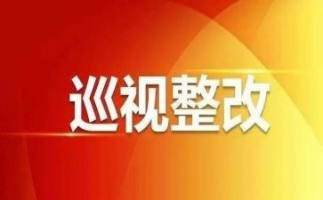 市巡视工作报告6篇