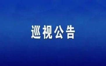 学习巡视工作条例心得体会5篇