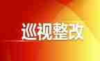市巡视工作报告6篇
