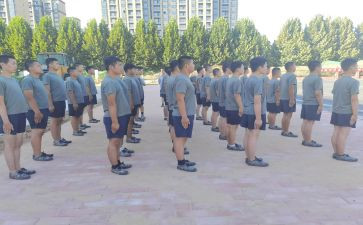 培训学校日工作总结精选5篇
