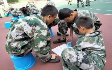 培训学校主任工作总结6篇