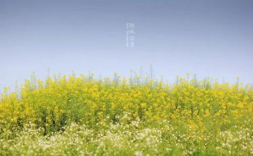 叙事写人作文600字6篇
