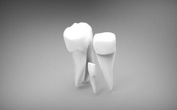 牙齿保护教案5篇