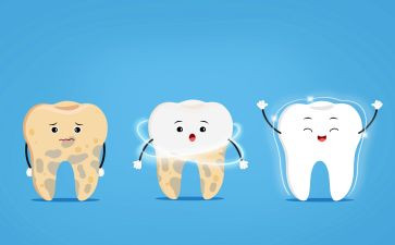 牙齿与健康教案推荐8篇