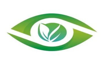 眼睛作文300字7篇