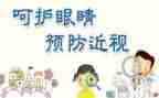 眼科医生个人总结8篇