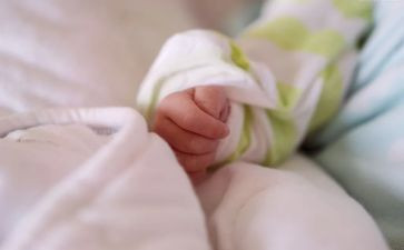 糖宝宝教案推荐7篇