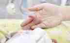 糖宝宝教案模板8篇
