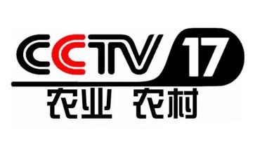 观看央视榜样8心得体会7篇