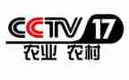 观看央视榜样8心得体会7篇