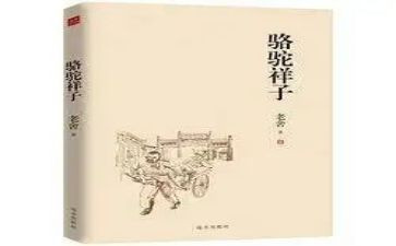 家的样子作文5篇