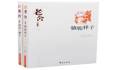 家的样子作文优质8篇