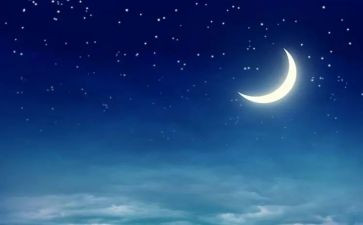 我和夜作文200字8篇
