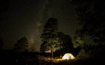 去野外心得体会模板5篇