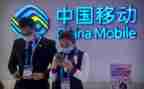 移动公司个人年终总结5篇