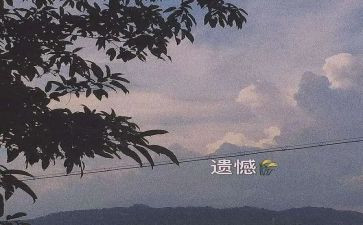 关于人生遗憾的作文5篇