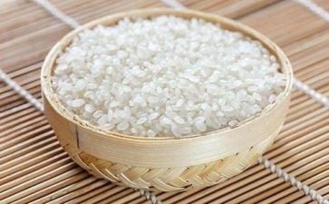 一粒米的读后感8篇