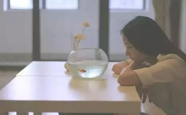 《我的优点》作文最新6篇