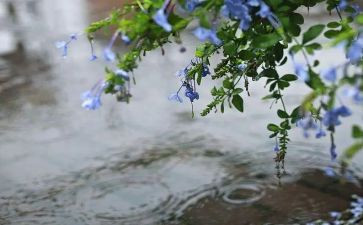 雨后彩虹的作文推荐5篇
