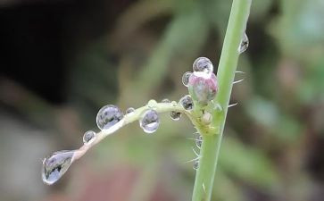 雷雨的心得体会7篇