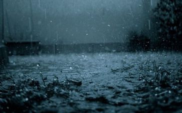 小班《雨》教案8篇