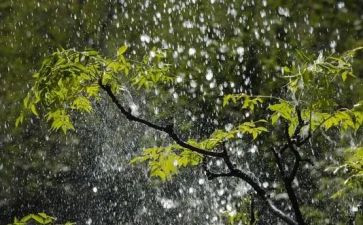 雨来的心得体会6篇