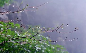 雨课堂心得体会参考5篇