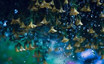 雨天军训的心得体会5篇