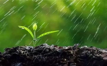 雨课堂心得体会模板6篇