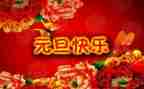 元旦活动心得体会7篇