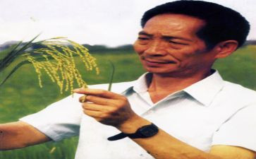 袁隆平的事迹读后感6篇