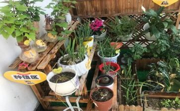 幼儿园培训收获心得体会6篇