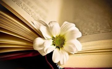 关于阅读活动的总结7篇