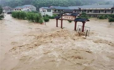 地质灾害工作报告5篇