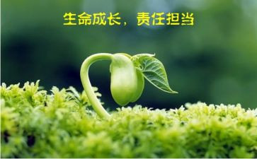 写责任的作文600字模板8篇
