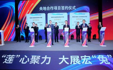 招投标管理工作总结8篇