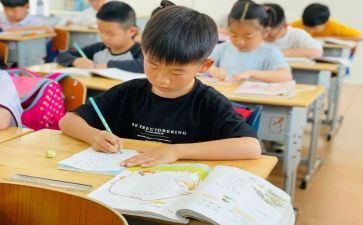 在我这个年龄800作文7篇
