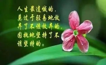 故事加哲理的演讲稿5篇