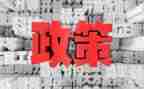 型势与政策心得体会参考8篇