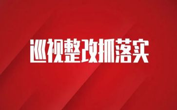 小学自查整改报告8篇