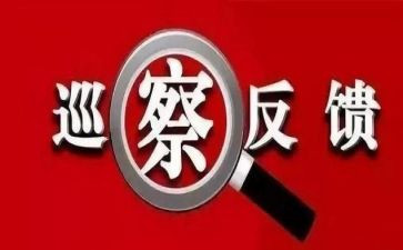 镇巡查整改报告5篇