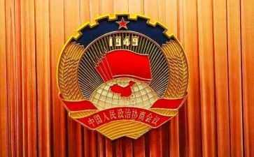 乡政协工作总结5篇