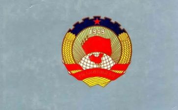 市政协委员工作总结8篇